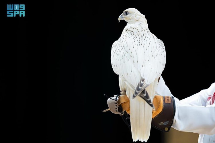 المزاد الدولي لمزارع إنتاج الصقور 2025 يختتم فعالياته بمبيعات تجاوزت 13 مليون ريال