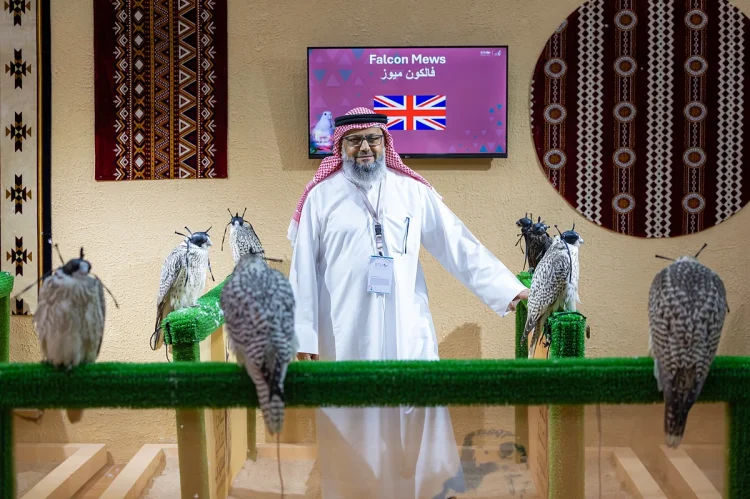 المزرعة الإنجليزية "فالكون ميوز" تُشارك بـ 100 صقر في المزاد الدولي لمزارع إنتاج الصقور 2025