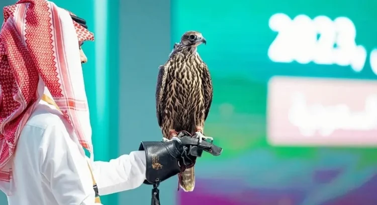 اليوم.. انطلاق المزاد الدولي لمزارع إنتاج الصقور 2025 في الرياض