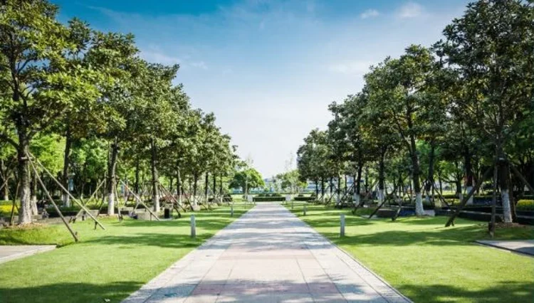 تتجاوز 100 ألف متر مربع.. أمانة المنطقة الشرقية ترسي عقدًا لإنشاء متنزه بحي الظهران