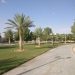 حديقة الندى بالرياض.. مسارات تنبض بالحيوية