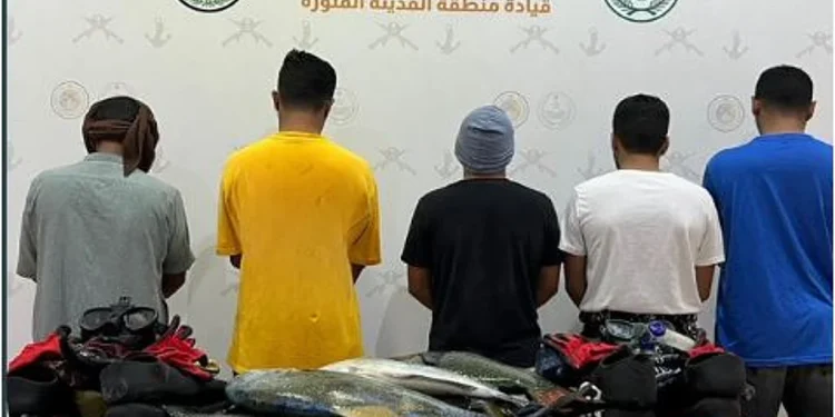 حرس الحدود بالمدينة يضبط 5 مخالفين للائحة الأمن والسلامة لمزاولي الأنشطة البحرية