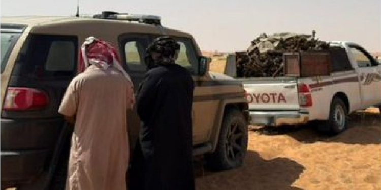 ضبط مخالفين لنقلهما حطبا محليا في محمية الإمام تركي بن عبدالله الملكية