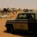 ضبط مواطن لارتكابه مخالفة الرعي في محمية الإمام تركي بن عبدالله الملكية
