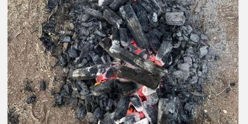 ضبط مواطن لعدم التزامه بتعليمات وإرشادات المحافظة على الغطاء النباتي في عسير