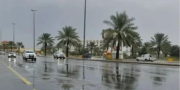 طقس المملكة الثلاثاء.. أمطار رعدية وزخات برد ورياح نشطة على عدة مناطق