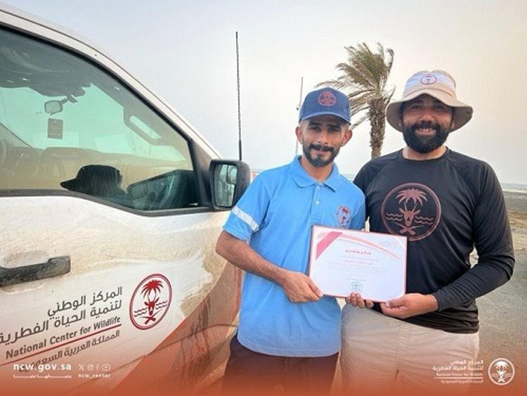 لإنقاذه دولفين.. "الحياة الفطرية" يكرم جوالًا بحريًا