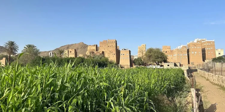 مزارع عسير.. وجهة سياحية تجمع بين التنوع وجمال الطبيعة