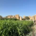 مزارع عسير.. وجهة سياحية تجمع بين التنوع وجمال الطبيعة