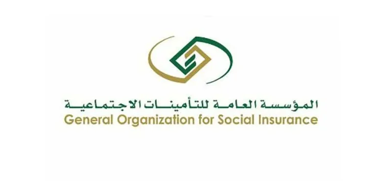 هل برنامج تمهير يؤثر على استحقاق المعاش للمستفيد؟..التأمينات تجيب