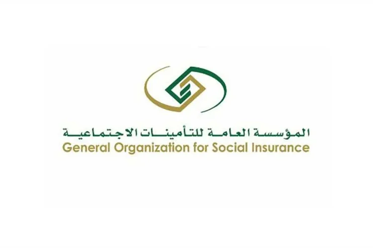 هل برنامج تمهير يؤثر على استحقاق المعاش للمستفيد؟..التأمينات تجيب