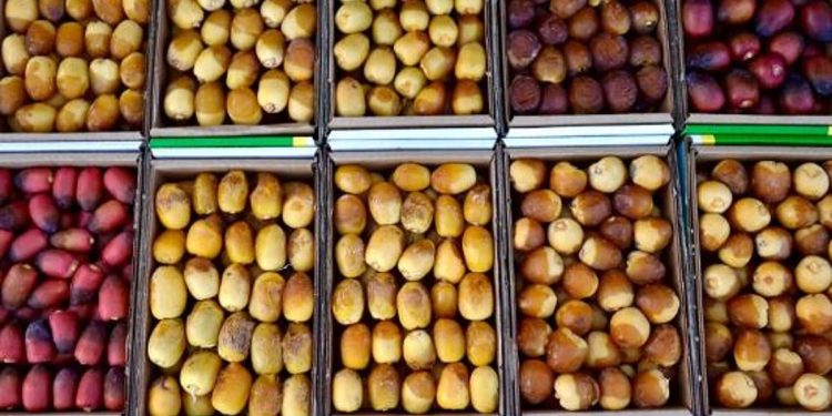 أكثر من 150 نوعًا.. كرنفال بريدة للتمور يستقطب أندر أنواع التمور