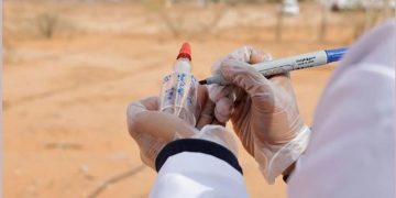 المختبر المتنقل في أراضي الغطاء النباتي.. نقلة نوعية نحو مستقبل أخضر ومستدام