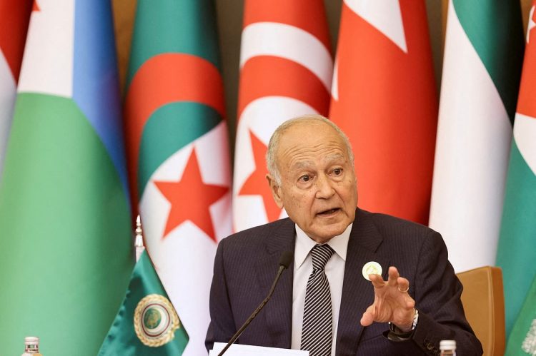 أبو الغيط: الاعتراف بدولة فلسطين يفتح مسارًا جادًا للتسوية السلمية للصراع على أساس حل الدولتين