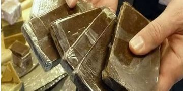 إحباط تهريب 13 كيلوجرامًا من الحشيش المخدر بجازان