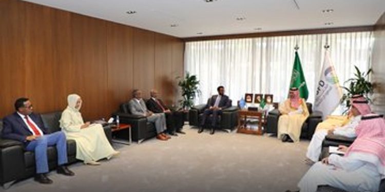 الصندوق السعودي للتنمية يبحث تعزيز التعاون مع وزير المالية الصومالي