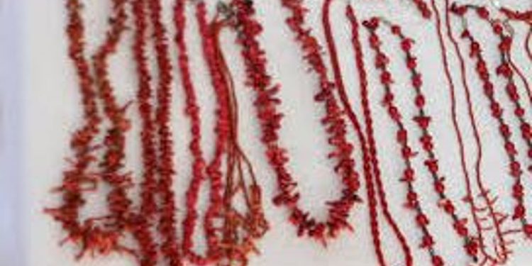 المرجان في تونس.. ثروة بحرية نادرة تسعى السلطات لحمايتها