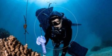 بمشاركة 'كاوست'.. تأسيس أول هيئة عالمية لحماية الكائنات الدقيقة