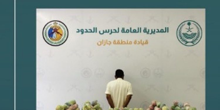 حرس الحدود يحبط تهريب 291 كجم من القات والحشيش في عسير وجازان