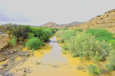 سحر الطبيعة الماطرة تجذب المتنزهين في نجران