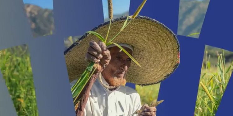 صندوق البيئة يطلق «رؤى بيئية» لتسليط الضوء على أحدث تطورات القطاع في المملكة