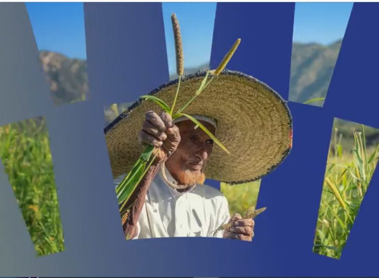 صندوق البيئة يطلق «رؤى بيئية» لتسليط الضوء على أحدث تطورات القطاع في المملكة