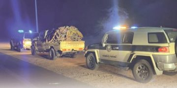 ضبط مواطن مخالف لنظام البيئة في منطقة حائل