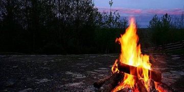 ضبط مواطنة مخالفة لنظام البيئة في محمية الإمام فيصل بن تركي الملكية