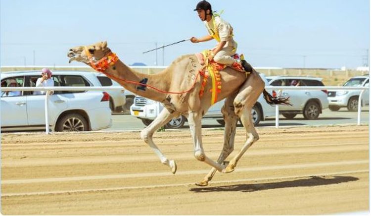 غدا.. انطلاق سباق الهجانة للرجال والسيدات بمهرجان ولي العهد للهجن 2025