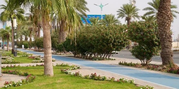 محافظة صبيا.. وجهة سياحية واعدة بتنوعها الثقافي وجمالها الطبيعي