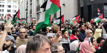 محلل سياسي: اعتراف بلجيكا بدولة فلسطين إضافة نوعية