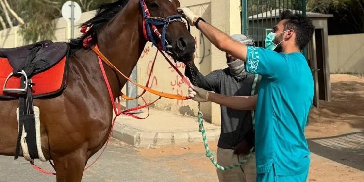 مركز «وقاء» يعلن رسميًّا خلو المملكة من مرض الرعام