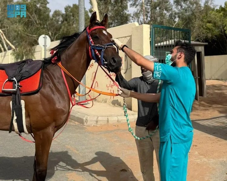 مركز «وقاء» يعلن رسميًّا خلو المملكة من مرض الرعام