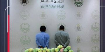 مرور عسير يقبض على مقيمين لترويجهما 20 كيلوجرامًا من القات