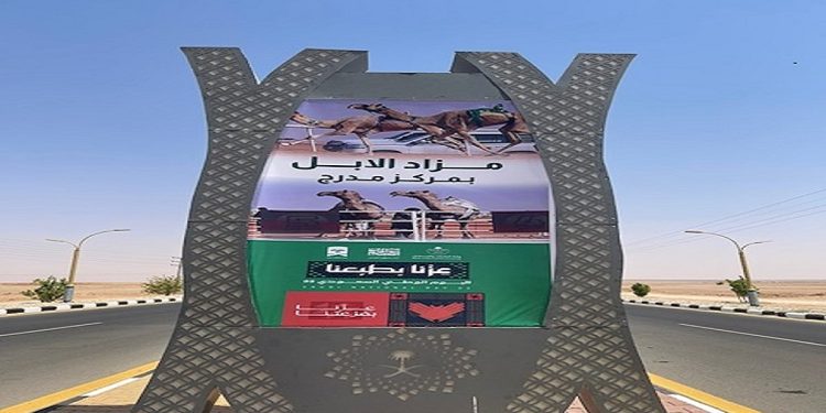 مزاد مدرج للإبل.. كرنفال اقتصادي وتراثي يعزز مكانة القصيم الاقتصادية