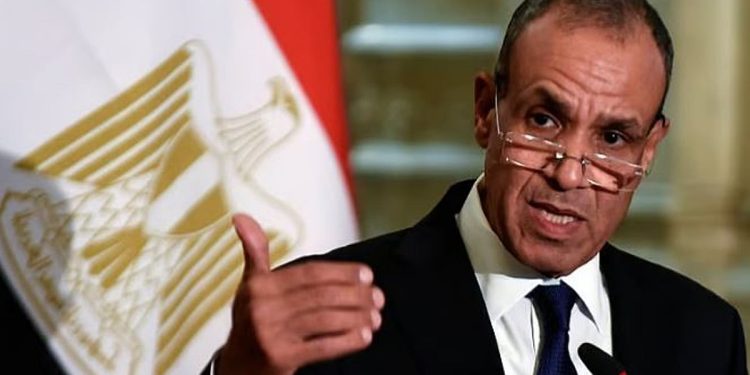 وزير الخارجية المصري: ندعم مسار حل الدولتين بقيادة السعودية وفرنسا