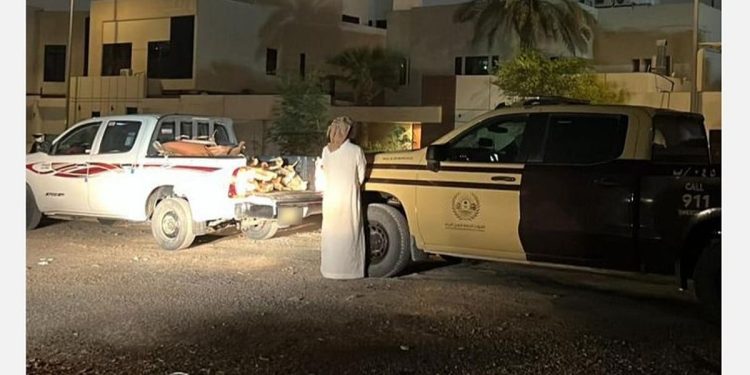 ضبط مواطن ومقيم يمني لارتكابهما مخالفة التخييم ونقل الحطب المحلي في الرياض وعسير