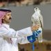 900 ألف ريال لصقرين منغوليين في الرياض