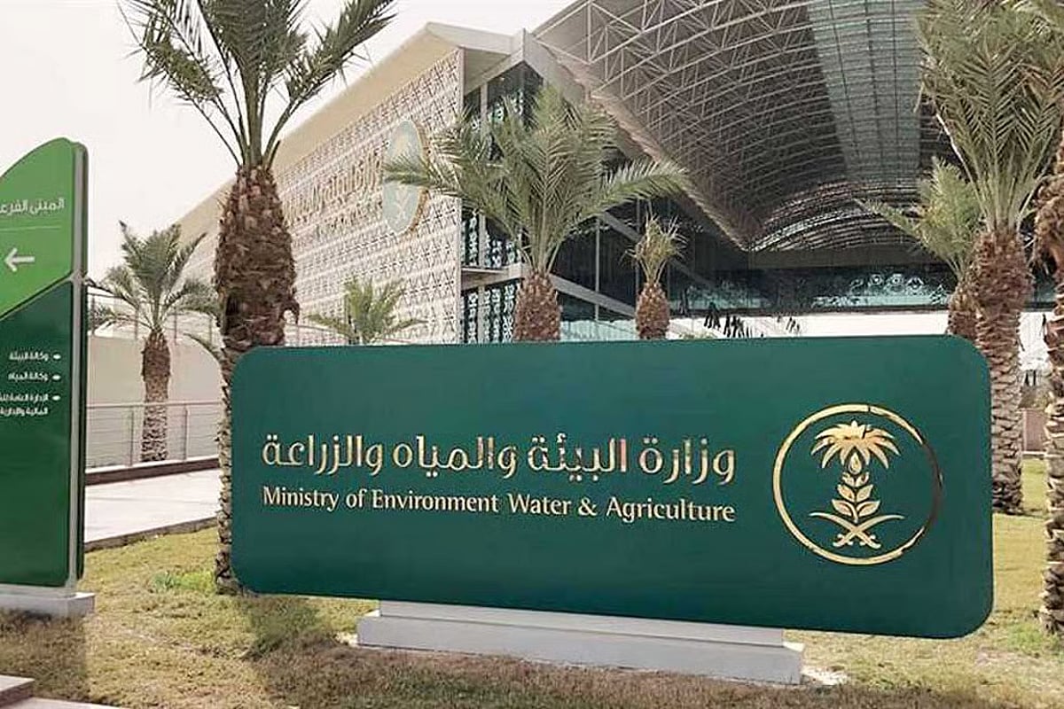 "البيئة" تعلن فتح باب التقديم لانضمام الشركات الزراعية لعضوية الدورة الثامنة للجنة منتجي البذور