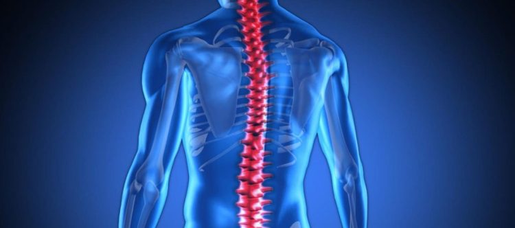 استشاري: صعوبة استخدام اليدين وضعف حركة الساقين من أبرز علامات اعتلال الحبل الشوكي
