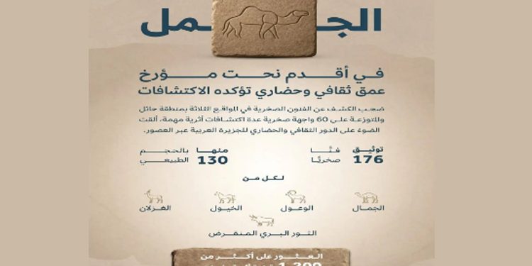 اكتشاف يوثق أكثر من 12 ألف سنة من مواقع الفن الصخري في صحراء النفود