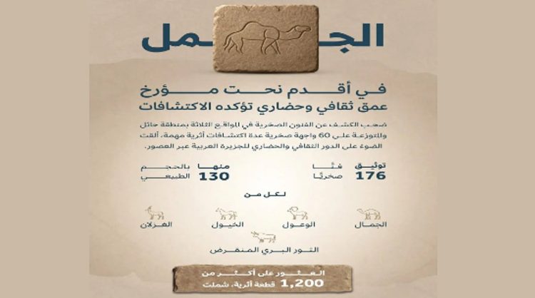 اكتشاف يوثق أكثر من 12 ألف سنة من مواقع الفن الصخري في صحراء النفود