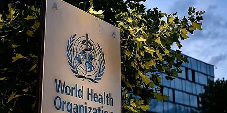 «الصحة العالمية» تدين الهجوم على مستشفى الأمومة السعودي في مدينة الفاشر بالسودان