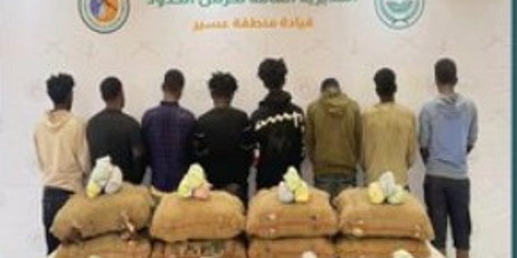 القبض على 8 إثيوبيين لتهريبهم 120 كيلوجرامًا من القات المخدر في عسير