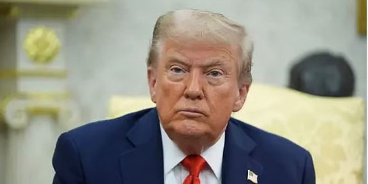 الولايات المتحدة تبدأ فرض رسوم جمركية على واردات الأخشاب والأثاث