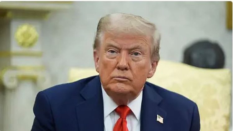 الولايات المتحدة تبدأ فرض رسوم جمركية على واردات الأخشاب والأثاث