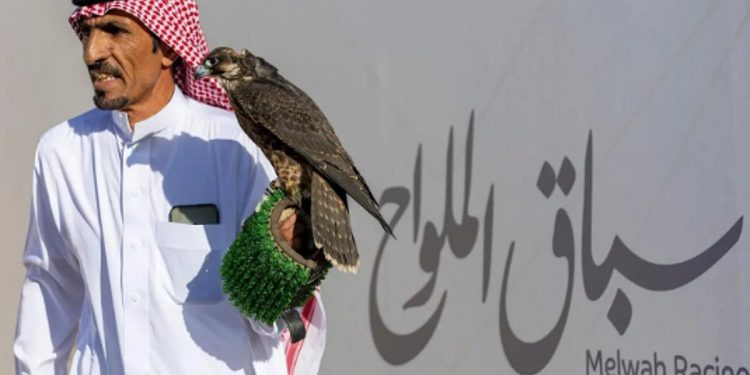 انطلاق أول أشواط سباق الملواح بمعرض الصقور والصيد السعودي الدولي 2025