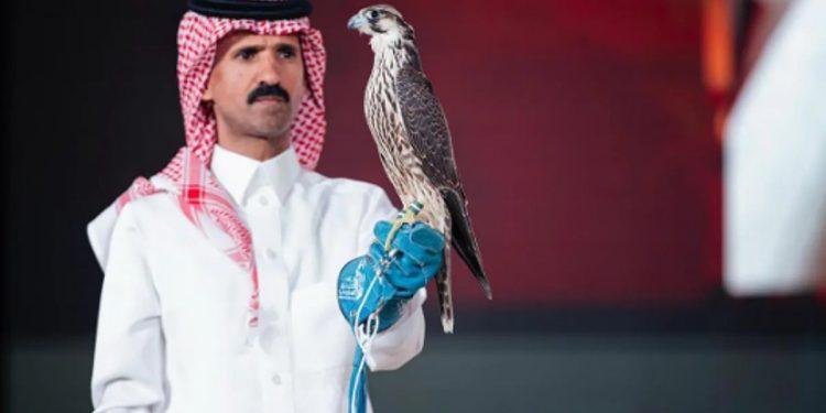 بيع شاهين فرخ بـ136 ألف ريال في الليلة الـ14 لمزاد نادي الصقور السعودي 2025