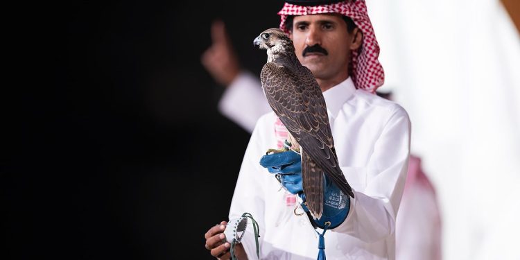 بيع شاهين فرخ في الليلة الـ 15 لمزاد نادي الصقور السعودي 2025