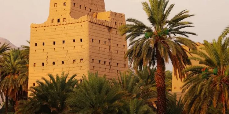 بيوت نجران الطينية.. ذاكرة تاريخ عميق ومصدر جذب للسائحين